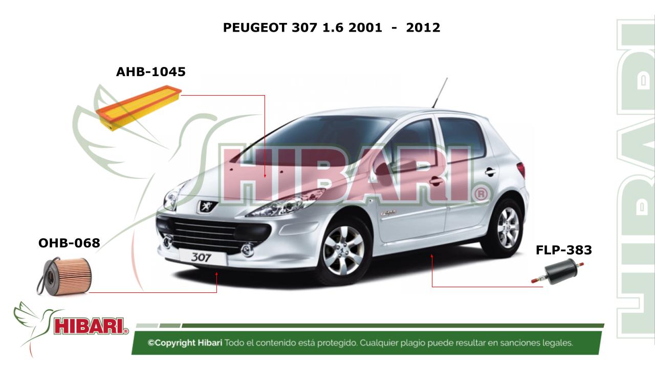 Lee más sobre el artículo PEUGEOT 307 1.6 2001  –  2012